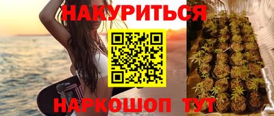 крисы Тулун