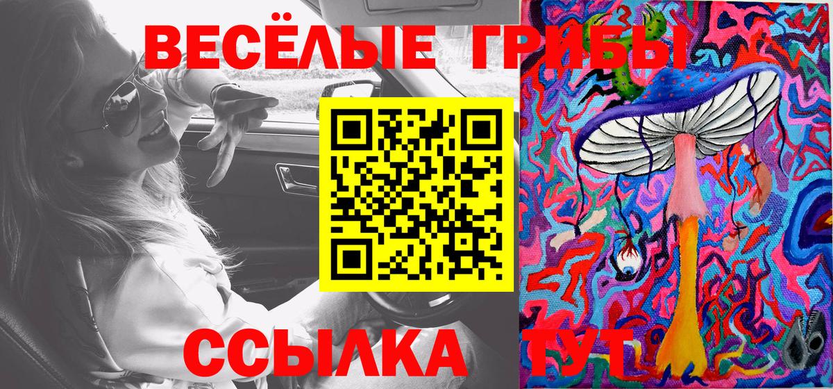 Псилоцибиновые грибы MAGIC MUSHROOMS Волхов